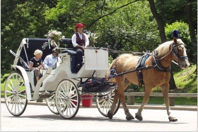 Official Private NYC CentralPark Horse Carriage Ride Since 1972 - Cherry Hill photo stop: the one planned pause