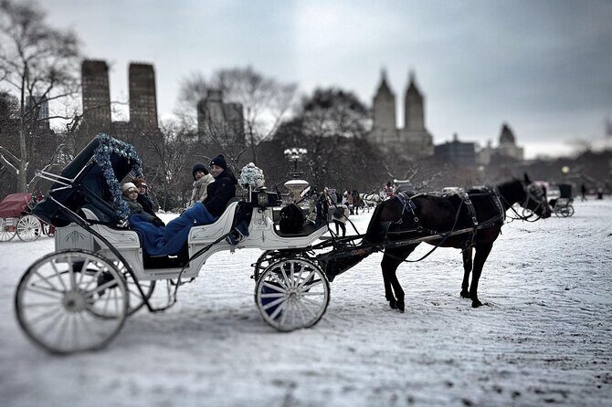 Official Private NYC CentralPark Horse Carriage Ride Since 1972 - From Balto and Rumsey Playfield to Bow Bridge (what to expect)