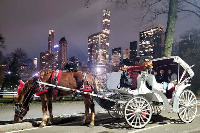 Official Private NYC CentralPark Horse Carriage Ride Since 1972 - Comfort and family fit: blankets, space, and pacing