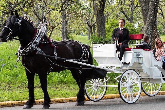 Official Private NYC CentralPark Horse Carriage Ride Since 1972 - The 40-minute route: what you’ll see, and how it flows