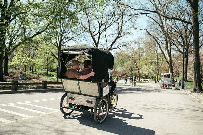 Private Central Park Guided Pedicab Tour - Bow Bridge and Cherry Hill Plaza: a classic view without the chaos