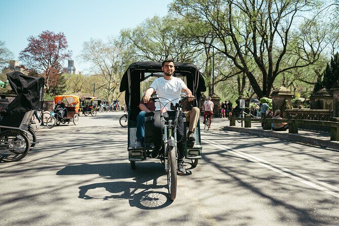 Private Central Park Guided Pedicab Tour - Conservatory Garden: the calmer middle of the park