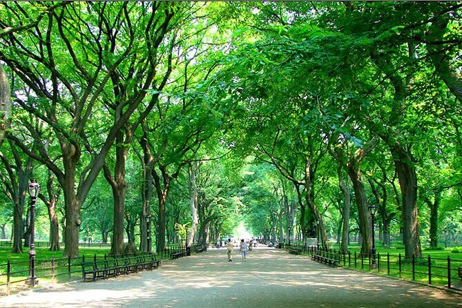 Private New York City Walking Tour: Central Park History and Hidden Secrets - A Private Central Park Walk That Actually Feels Personal