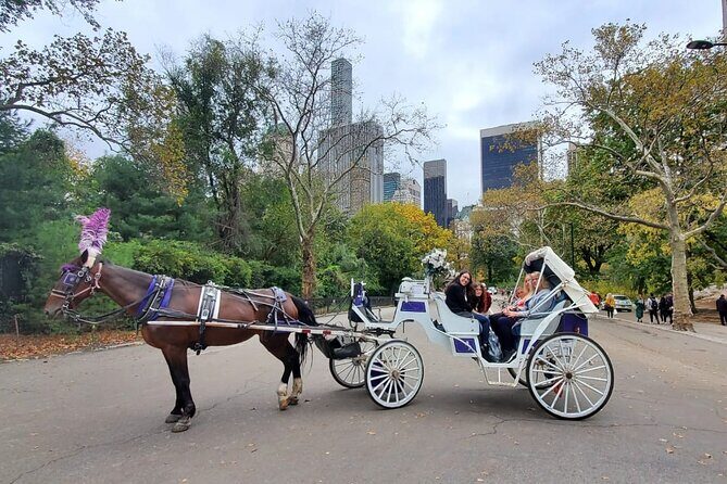 Private NYC Central Park Horse Carriage Ride (Guided) Since 1965™ - A 40-Minute Shortcut Through Central Park Highlights