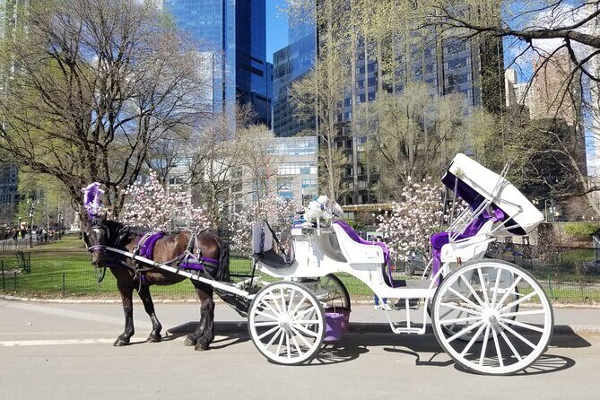 Private NYC Central Park Horse Carriage Ride (Guided) Since 1965™ - Price and Value: $145 for Your Group (Not Per Person)