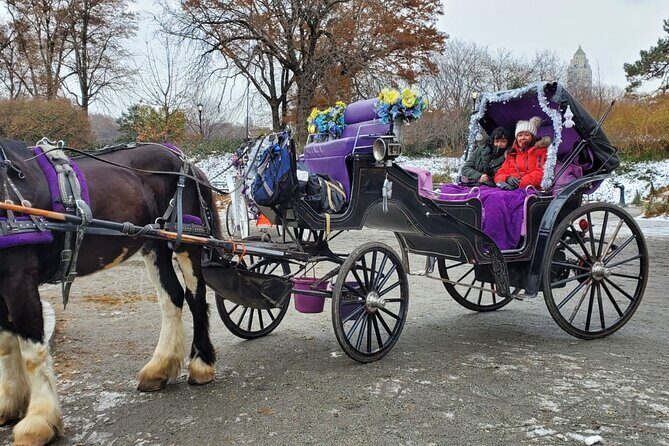 Private NYC Central Park Horse Carriage Ride (Guided) Since 1965™ - The Horse and the Comfort Factor (Blankets in Winter)