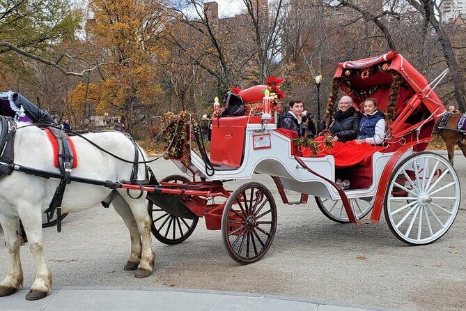 Private NYC Central Park Horse Carriage Ride (Guided) Since 1965™ - Lake Life, Playfields, and Rumsey Playfield