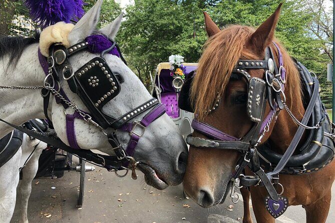 Private NYC Central Park Horse Carriage Ride (Guided) Since 1965™ - Bethesda Fountain and Cherry Hill: Your Best Photo Breaks