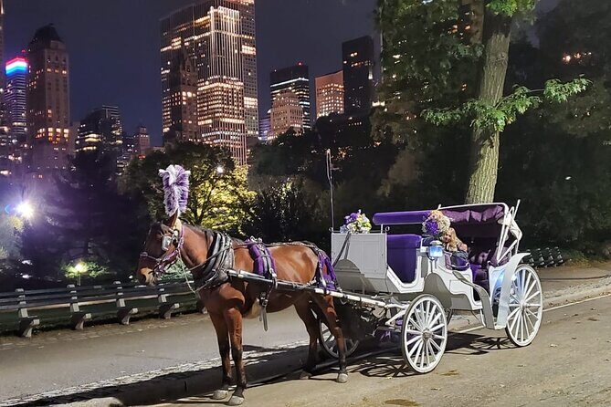 Private NYC Central Park Horse Carriage Ride (Guided) Since 1965™ - Sheep Meadow, Pinebank Arch, and Columbus Circle