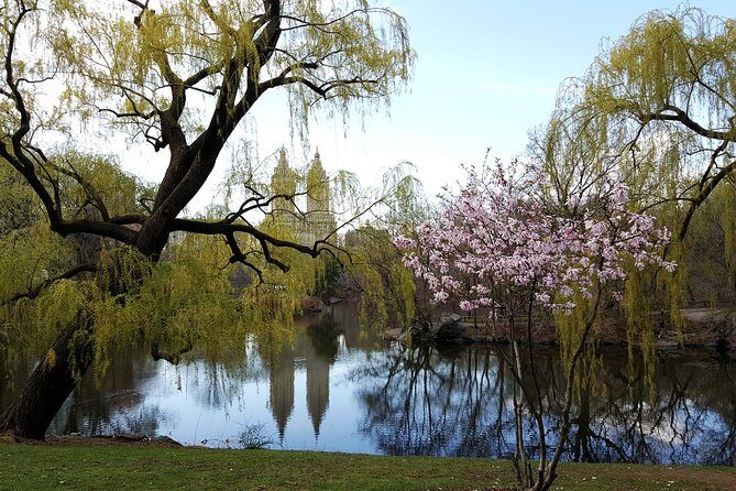 Private Scenic Central Park Walking Tour - Price for a group of up to five: what you’re really paying for