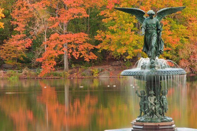 Romantic Proposal Carriage Tour in Central Park - A private proposal carriage that keeps things close and calm