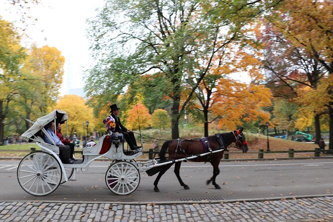 Romantic Proposal Carriage Tour in Central Park - Bethesda Fountain: the Angel of the Waters and why this stop hits hard