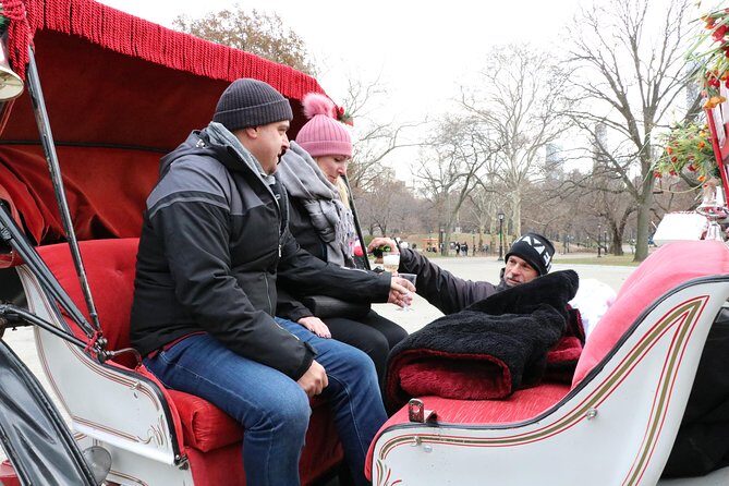 Romantic Proposal Carriage Tour in Central Park - Champagne, roses, and photos: how to make the package feel personal