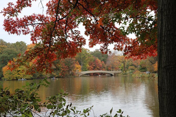 Romantic Proposal Carriage Tour in Central Park - Timing in Central Park: why 50 minutes works better than you think