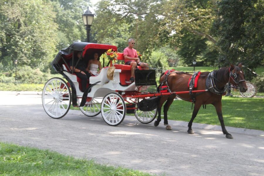 Romantic/Proposal Central Park Carriage Tour Up to 4 Adults - Key Highlights You’ll Feel Immediately