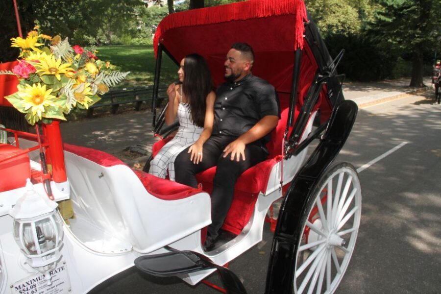 Romantic/Proposal Central Park Carriage Tour Up to 4 Adults - The Meet-Up That Puts You in the Right Mindset