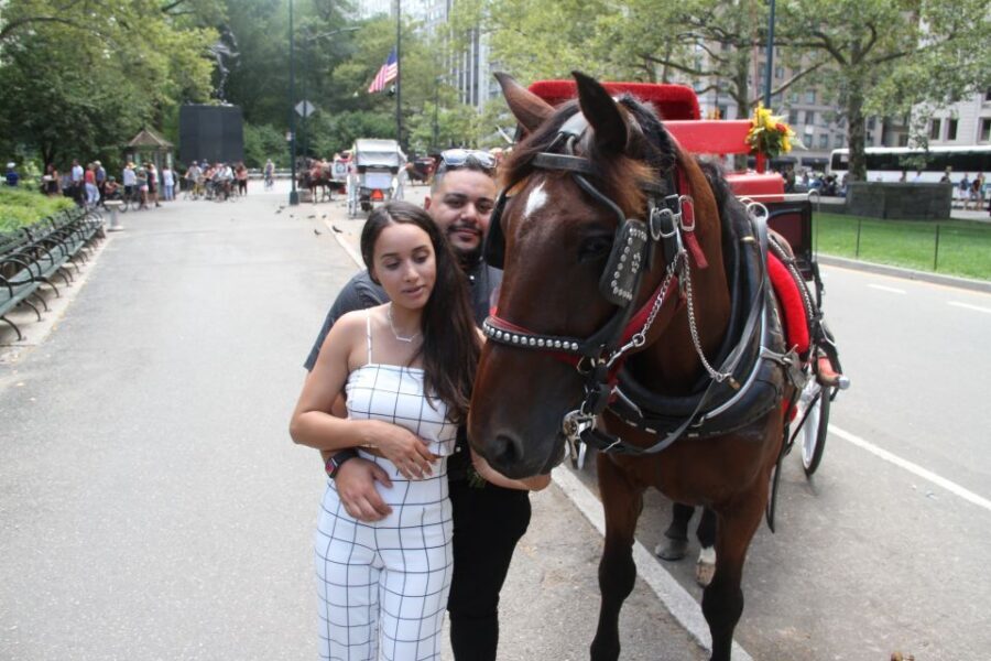 Romantic/Proposal Central Park Carriage Tour Up to 4 Adults - Champagne, Roses, and the Guide’s Real Job