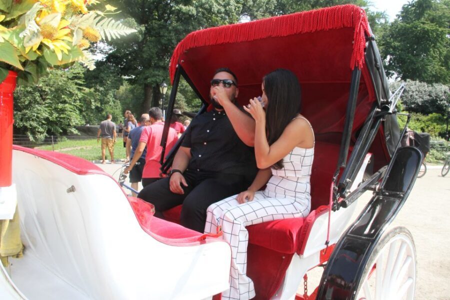 Romantic/Proposal Central Park Carriage Tour Up to 4 Adults - Bethesda Fountain and Terrace: World-Famous Romance in Stone