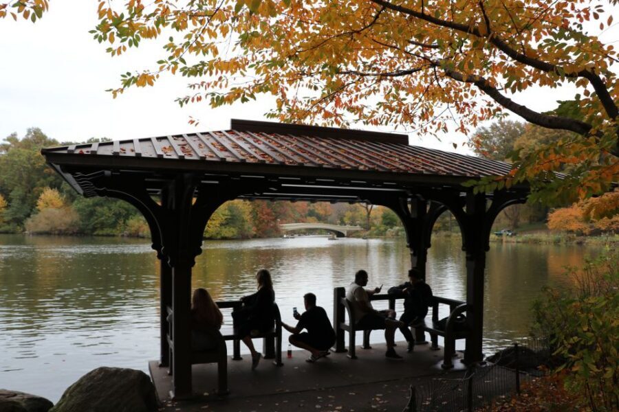 Romantic/Proposal Central Park Carriage Tour Up to 4 Adults - The Discreet Photographer Option (And What It Really Adds)