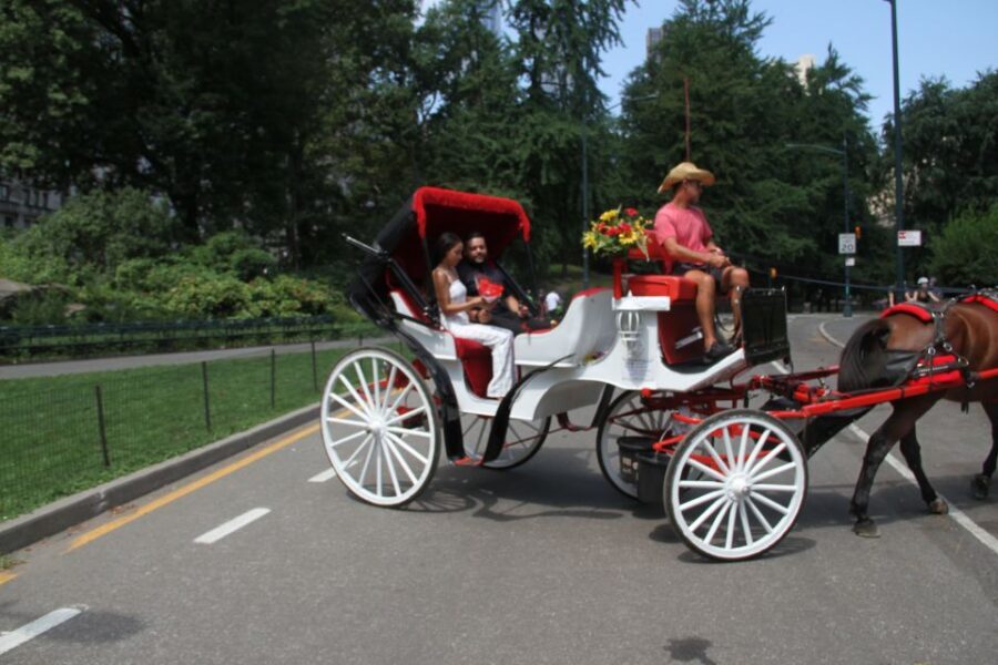 Romantic/Proposal Central Park Carriage Tour Up to 4 Adults - Price and Value: What You’re Really Paying For