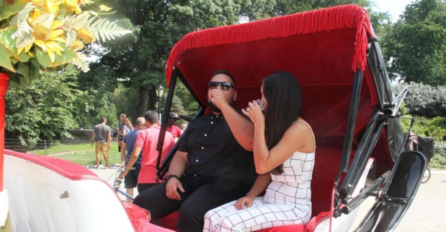 Romantic/Proposal Central Park Carriage Tour Up to 4 Adults - Timing, Weather, and How to Avoid Stress