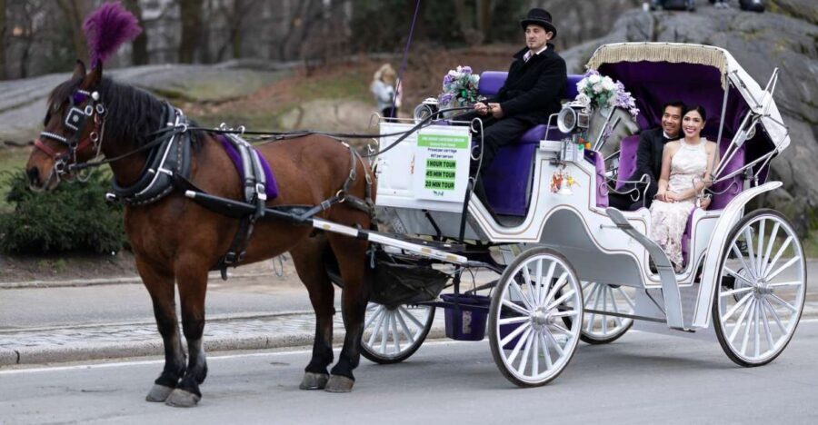 Royal Carriage Ride in Central Park NYC - Skipping the ticket line and making the most of a short day