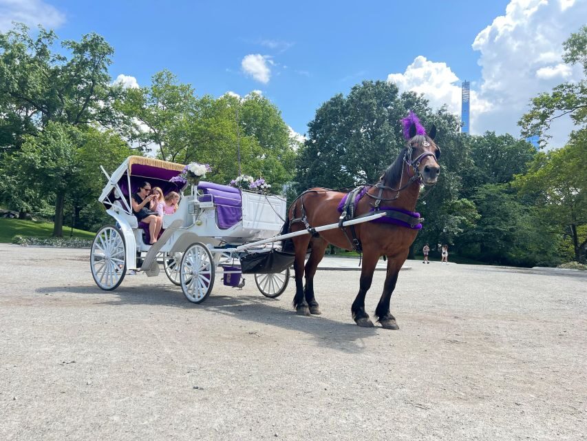 Royal Carriage Ride in Central Park NYC - The 55–60 minute route: what you’ll realistically see