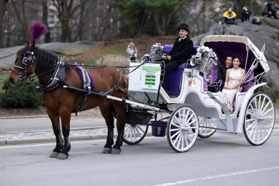 Royal Carriage Ride in Central Park NYC - Bethesda Fountain: the classic stop with prime photo angles