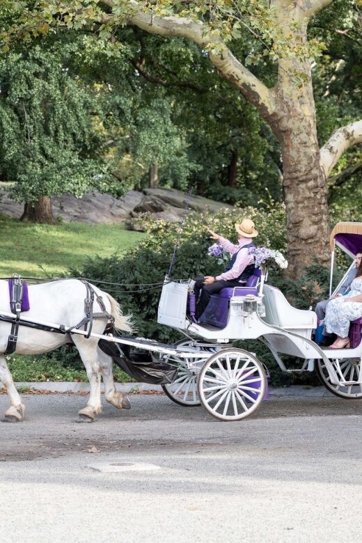 Royal Carriage Ride in Central Park NYC - Cherry Hill Plaza and Friends Fountain: a softer moment in the middle