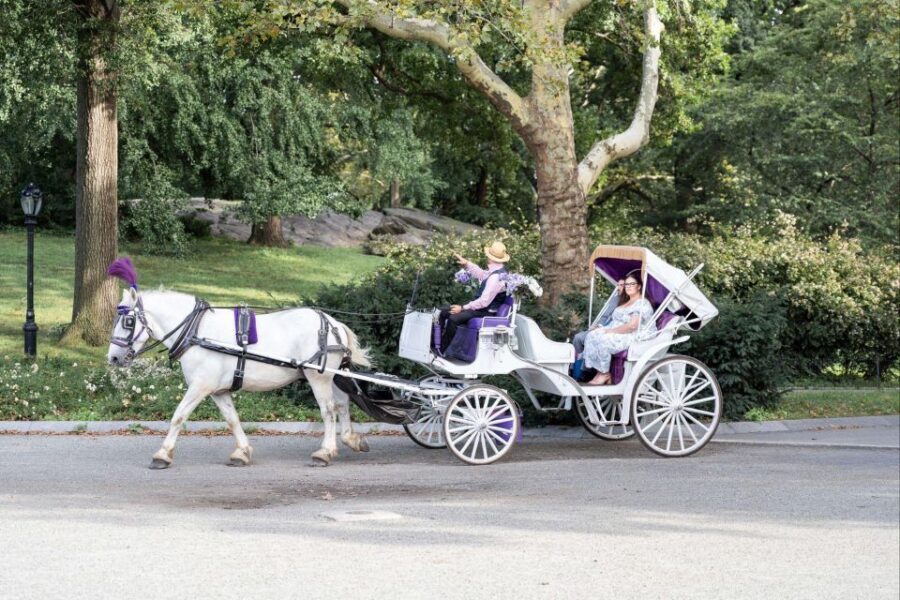 Royal Carriage Ride in Central Park NYC - Horses, care, and why a direct operator matters