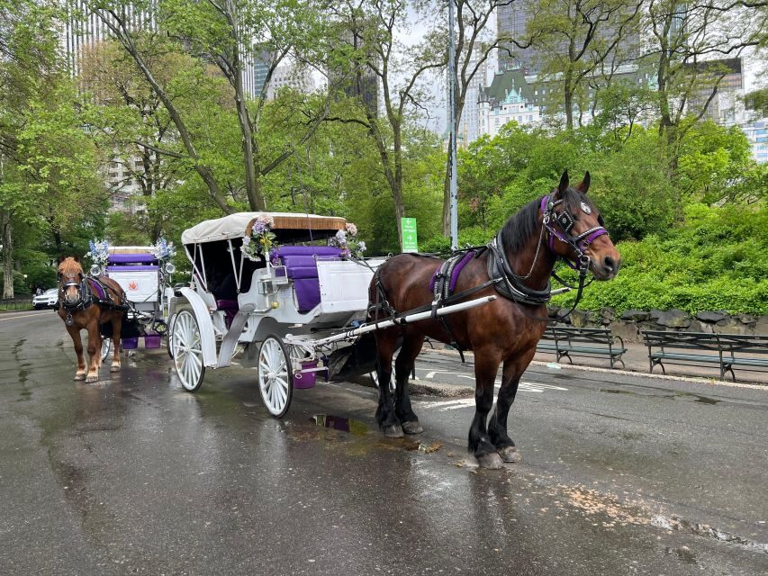 Royal Carriage Ride in Central Park NYC - Price and group size: when $155 per group up to 4 is a smart deal