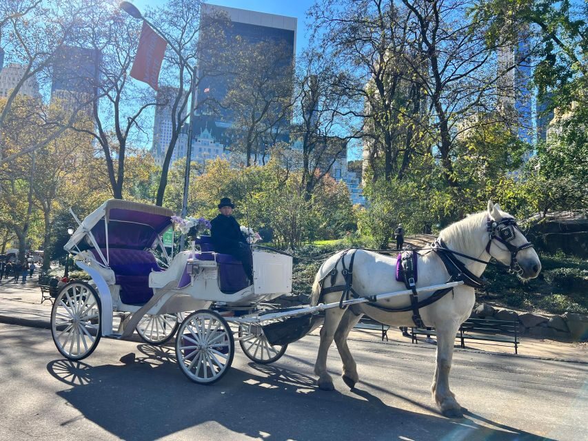 Royal Carriage Ride in Central Park NYC - Where the tour starts at 22 East Dr (and how to find the line)