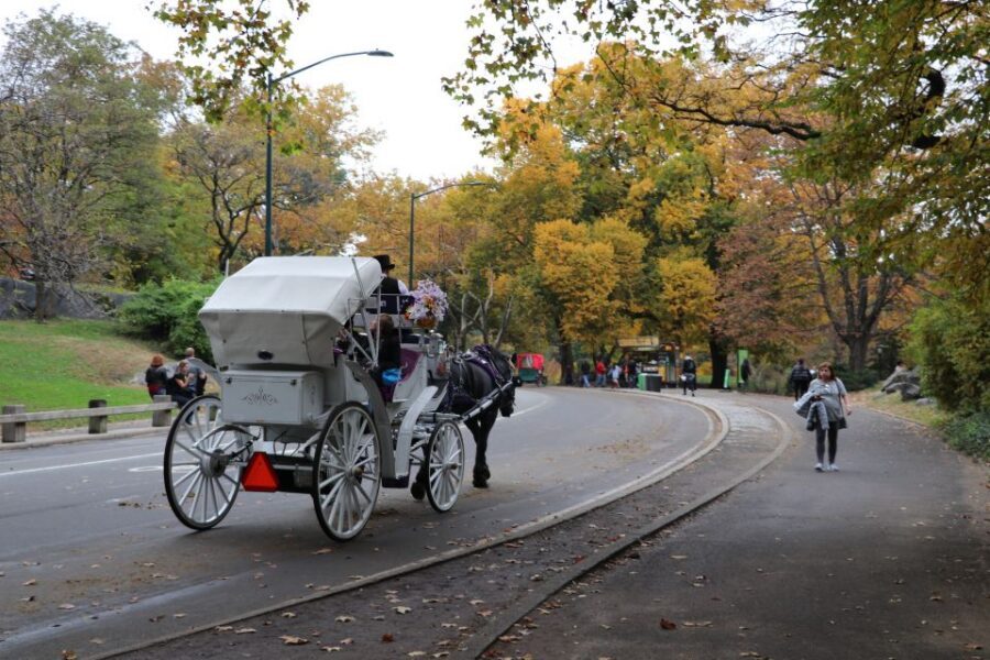 Tavern on the Green PickUp&DropOff With Horse Carriage Ride - Quick Hits: What You’ll Care About Most