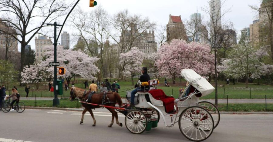 Tavern on the Green PickUp&DropOff With Horse Carriage Ride - Choosing Pick-Up vs Drop-Off at Tavern on the Green