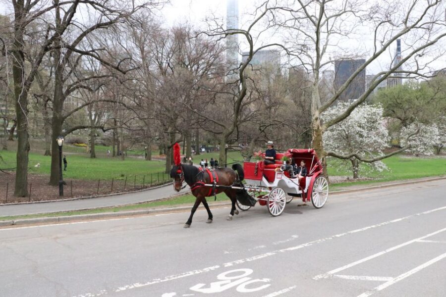 Tavern on the Green PickUp&DropOff With Horse Carriage Ride - The Ride Itself: 35–40 Minutes of Central Park Views