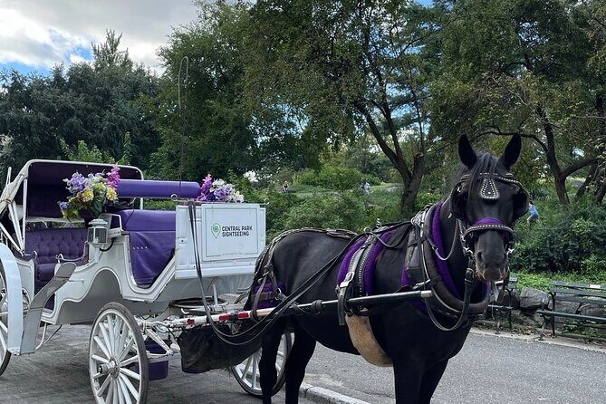 Unforgettable Luxury Horse and Carriage Tours in Central Park - Key Highlights Worth Your Time