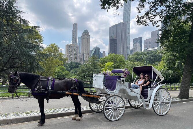 Unforgettable Luxury Horse and Carriage Tours in Central Park - Private Horse and Carriage: Why This Ride Works in Central Park