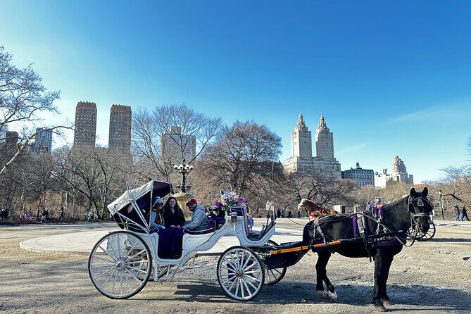 Unforgettable Luxury Horse and Carriage Tours in Central Park - Main Entrance to Central Park and the Cherry Hill Pause