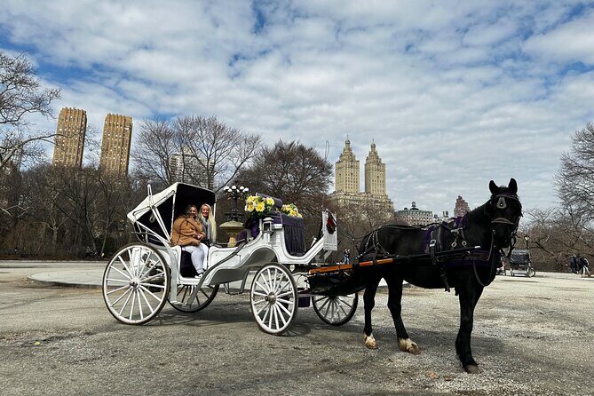 Unforgettable Luxury Horse and Carriage Tours in Central Park - The Central Park Movie-Spot Route: Ice Rink, Smurfs, and Pop-Culture Clues