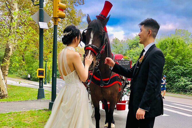 VIP Central Park Champagne Tour with Photos(50 min)~Skip the line - Stop 1: Bethesda Fountain for iconic photos and instant wow