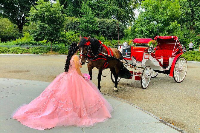VIP Central Park Champagne Tour with Photos(50 min)~Skip the line - Champagne toast plus blankets: the comfort side of romance