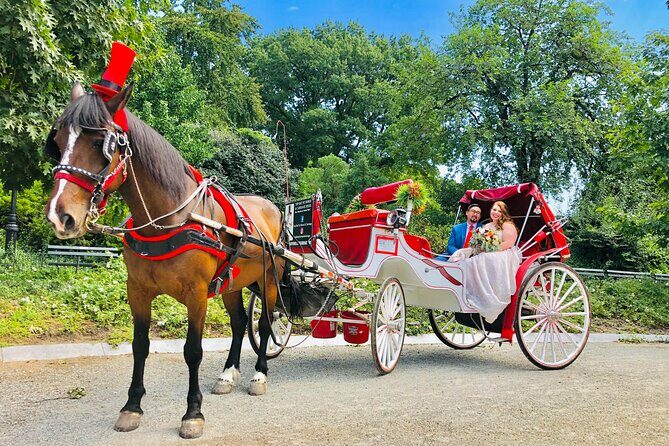 VIP Central Park Champagne Tour with Photos(50 min)~Skip the line - Proposals and anniversaries: how the driver helps you make it happen