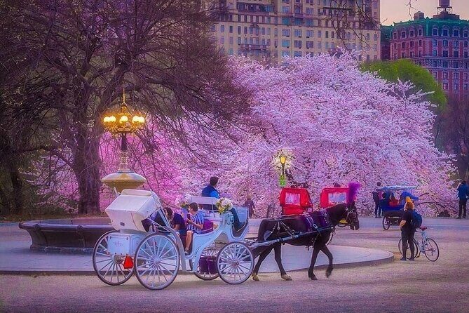 VIP Central Park Experience Tour with photos 50min~Skip the line - Zoo area, Bow Bridge, and the park’s “old-school” layout