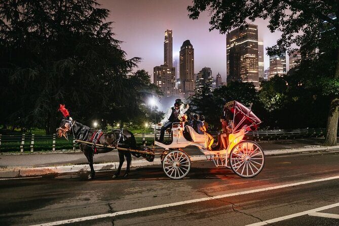 VIP Horse Carriage Ride through Central Park (Up to 4 Adults) - What you’re really buying on this VIP ride