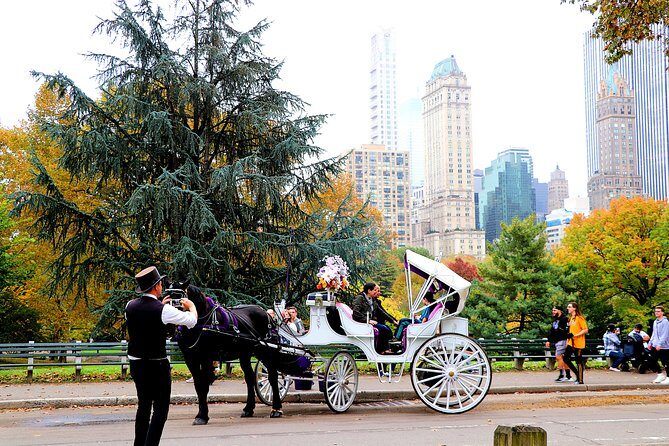 VIP Horse Carriage Ride through Central Park (Up to 4 Adults) - The guide, the storytelling, and why names come up