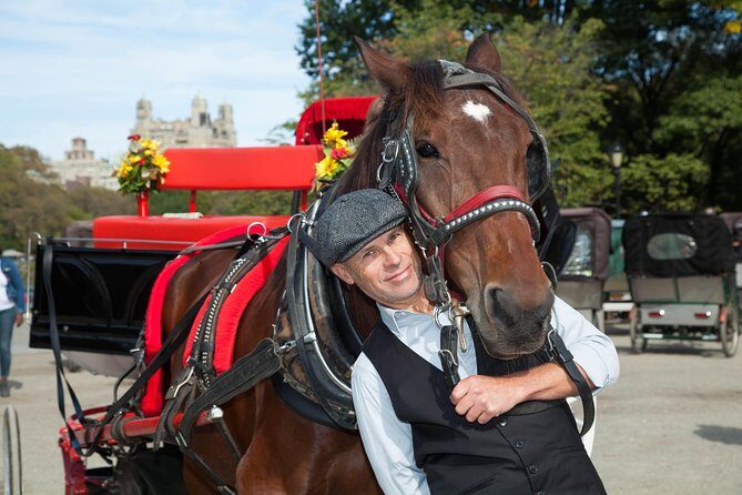 VIP Horse Carriage Ride through Central Park (Up to 4 Adults) - Horse comfort extras that actually matter