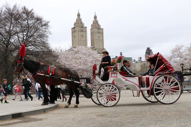 VIP Horse Carriage Ride through Central Park (Up to 4 Adults) - Price per carriage: figuring out value for your group