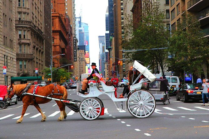 VIP Horse Carriage Ride through Central Park (Up to 4 Adults) - Weather reality in Central Park: cold, rain, and heat rules