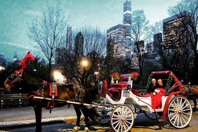 VIP Horse Carriage Ride through Central Park (Up to 4 Adults) - Who this is best for (and who might want a different plan)